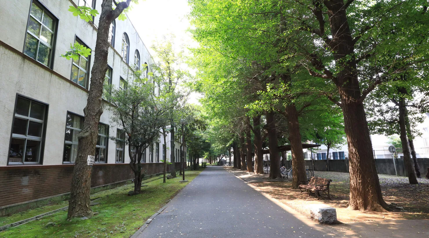 東京学芸大学附属高校